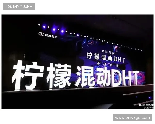 杭州排球队的转型之路：从传统强队到现代化竞技新标杆