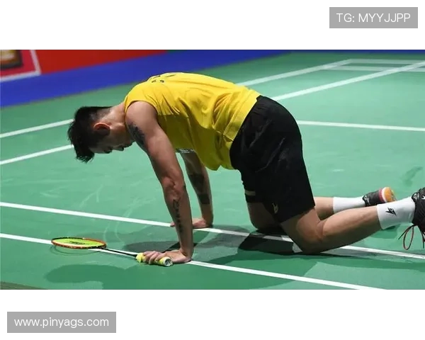 杭州羽毛球队在奥运会上的节奏表现分析与点评