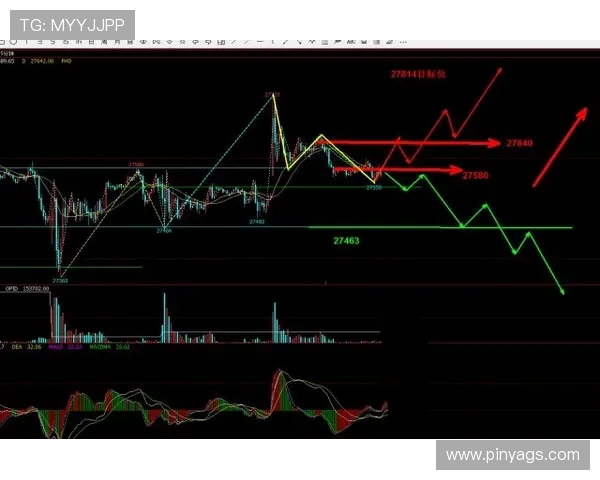 深圳飞盘队与北京飞盘队赛后复盘分析及经验总结