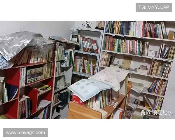 林葳:在繁华与宁静之间探索自我成长的心灵之旅