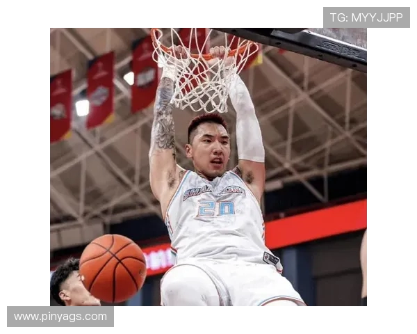 陶汉林:从篮球场上的拼搏者到社会公益的践行者的精彩人生旅程