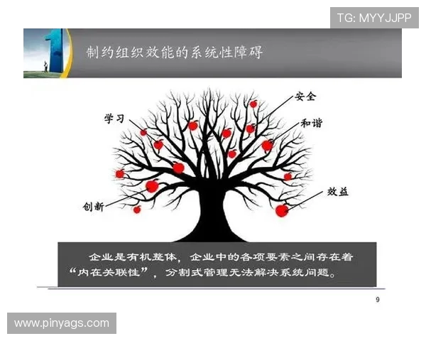 WE战术解析：Major赛中团队协作与策略执行的深度剖析