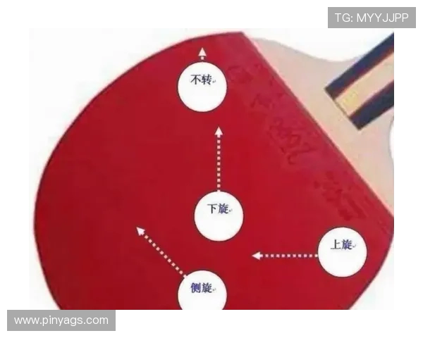 乒乓球新手必看:从基础意识到实战技巧的全面入门指南