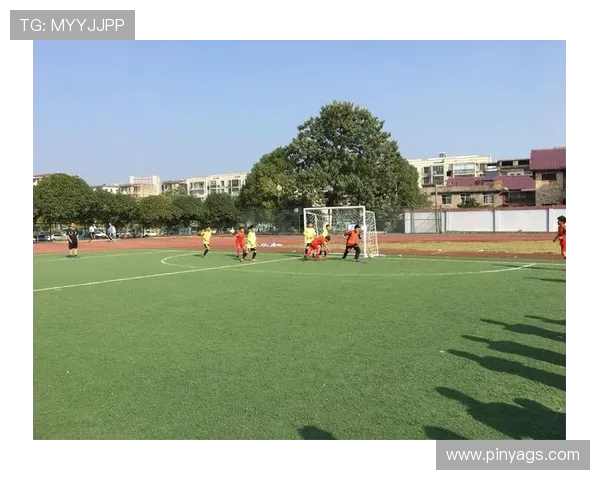 广州足球队控制革新之路：从传统到现代的转型与挑战